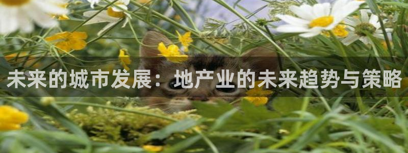天狮娱乐无法登录怎么办：未来的城市发展：地产业的未来趋势与策