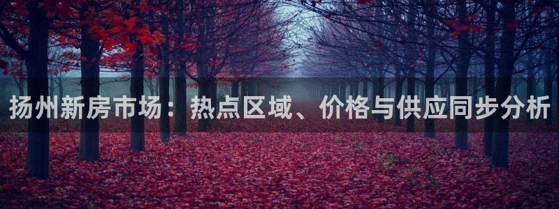 天狮娱乐登入：扬州新房市场：热点区域、价格与供应同步分析