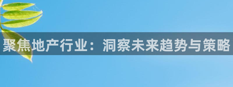 天狮娱乐招商主管：聚焦地产行业：洞察未来趋势与策略