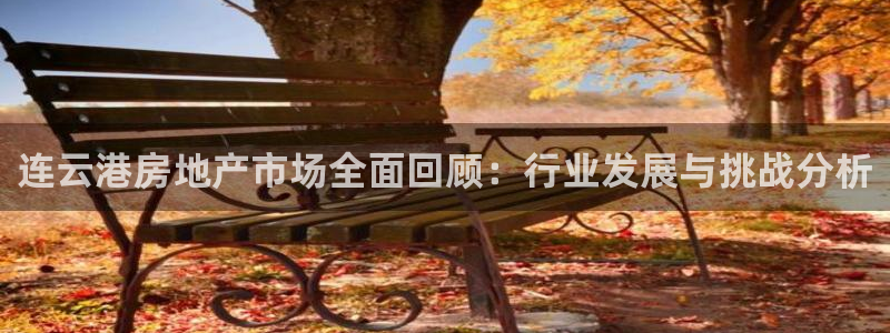 天狮天狮娱乐娱乐q：连云港房地产市场全面回顾：行业发展与挑战