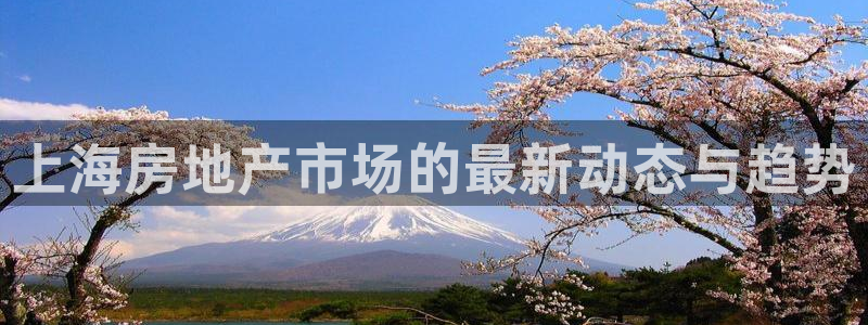 天狮娱乐股东39869：上海房地产市场的最新动态与趋势