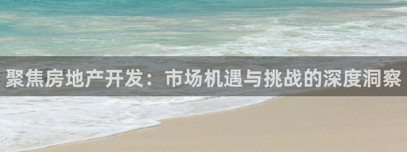 天狮娱乐怎么玩法：聚焦房地产开发：市场机遇与挑战的深度洞察