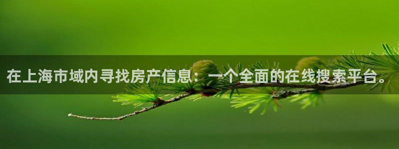 天狮娱乐彩票平台黑钱吗：在上海市域内寻找房产信息：一个全面的