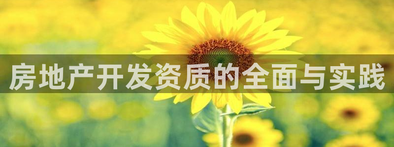 娱乐狮天：房地产开发资质的全面与实践