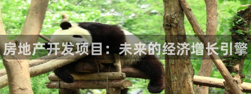 天狮娱乐33673 q实力：房地产开发项目：未来的经济增长引