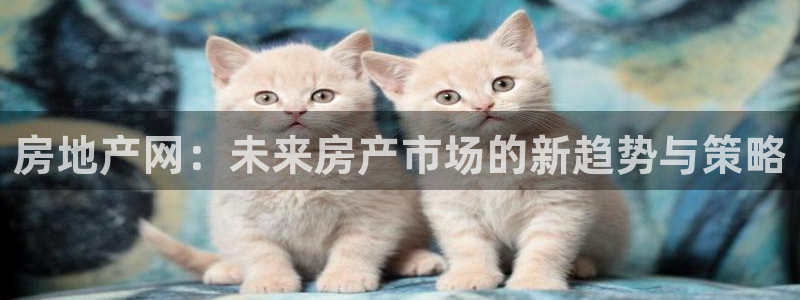 天狮娱乐招商87277：房地产网：未来房产市场的新趋势与策略