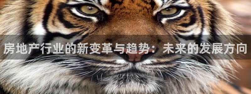 天狮娱乐 23976实z力：房地产行业的新变革与趋势：未来的