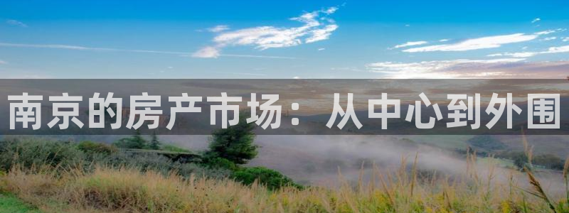 天狮娱乐招：南京的房产市场：从中心到外围