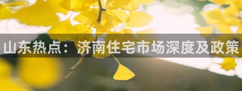 天狮娱乐q 找108306：山东热点：济南住宅市场深度及政策