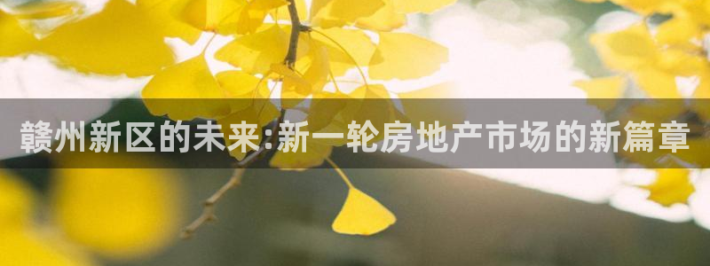 天狮娱乐主管q42862s：赣州新区的未来:新一轮房地产市场