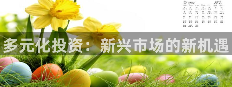 天狮娱乐 b招商67646：多元化投资：新兴市场的新机遇