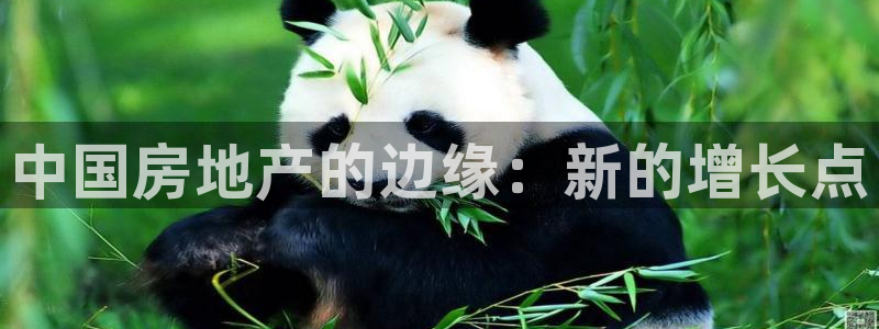 天狮娱乐平台怎么样：中国房地产的边缘：新的增长点