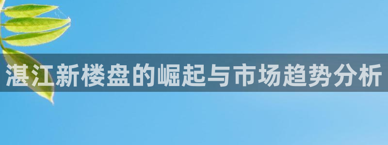 天狮娱乐84374 巅峰h：湛江新楼盘的崛起与市场趋势分析