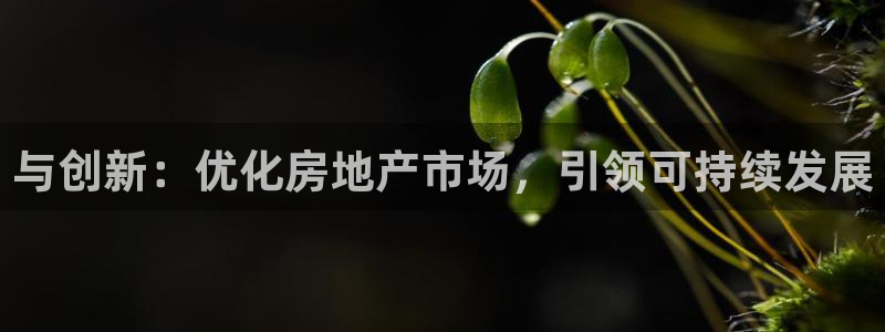 天狮娱乐是私人平台吗：与创新：优化房地产市场，引领可持续发展