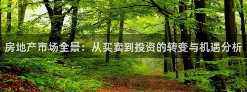 天狮娱乐代理怎么做：房地产市场全景：从买卖到投资的转变与机遇