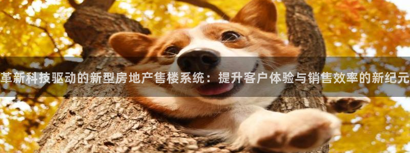 天狮娱乐f 判官：革新科技驱动的新型房地产售楼系统：提升客户