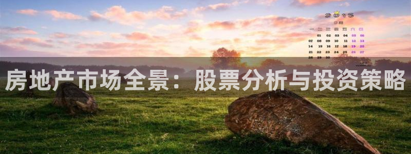 天狮娱乐84374 巅峰h：房地产市场全景：股票分析与投资策
