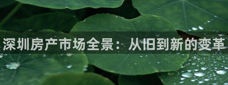 天狮娱乐是黑台子吗：深圳房产市场全景：从旧到新的变革