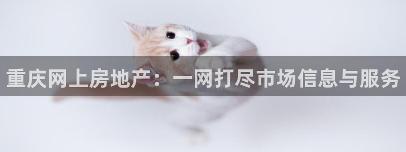 天狮娱乐指尖得：重庆网上房地产：一网打尽市场信息与服务