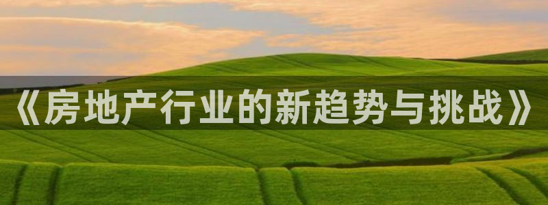 天狮娱乐e 判官：《房地产行业的新趋势与挑战》