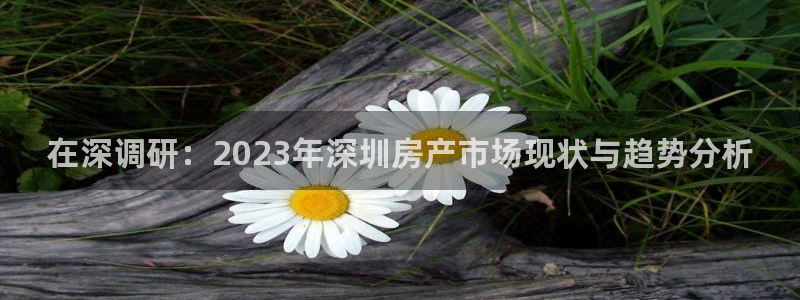 天狮娱乐 彩票：在深调研：2023年深圳房产市场现状与趋势分