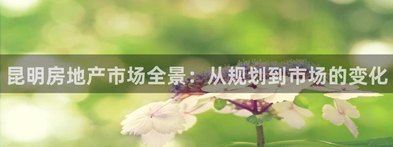 天狮娱乐30j判官333OO：昆明房地产市场全景：从规划到市