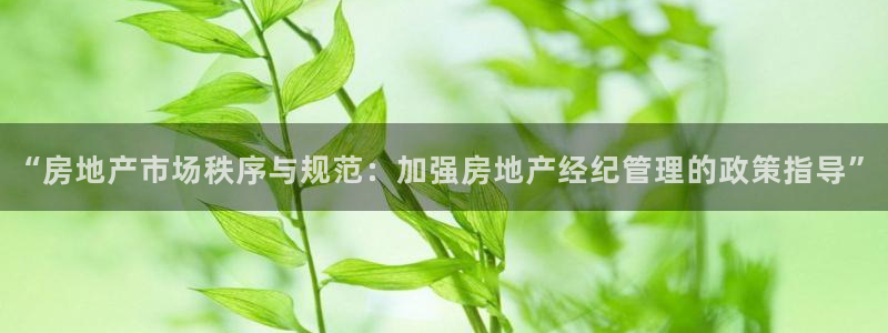 天狮娱乐招商57757：“房地产市场秩序与规范：加强房地产经