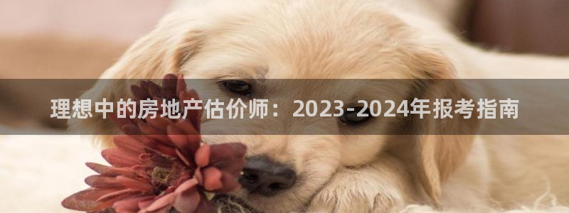 天狮娱乐 b招商67646：理想中的房地产估价师：2023-