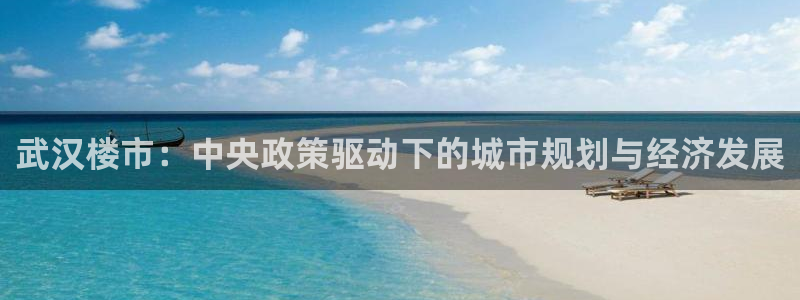 天狮学院娱乐设施怎么样：武汉楼市：中央政策驱动下的城市规划与
