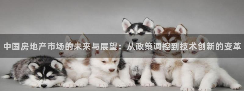 天狮娱乐股东39869：中国房地产市场的未来与展望：从政策调