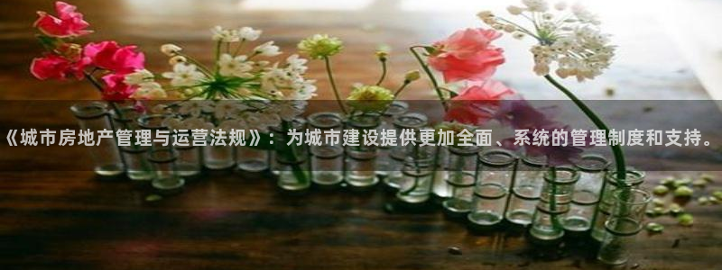 天狮娱乐彩票平台：《城市房地产管理与运营法规》：为城市建设提