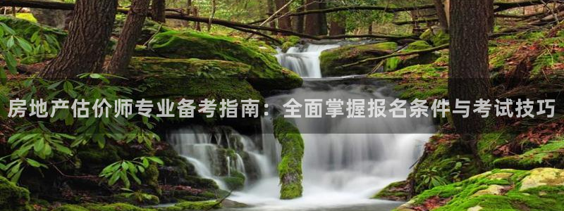 天狮娱乐指尖自：房地产估价师专业备考指南：全面掌握报名条件与