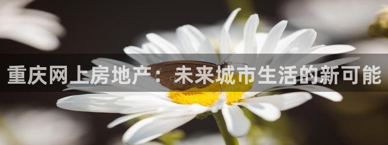 天狮娱乐注册官方网站：重庆网上房地产：未来城市生活的新可能