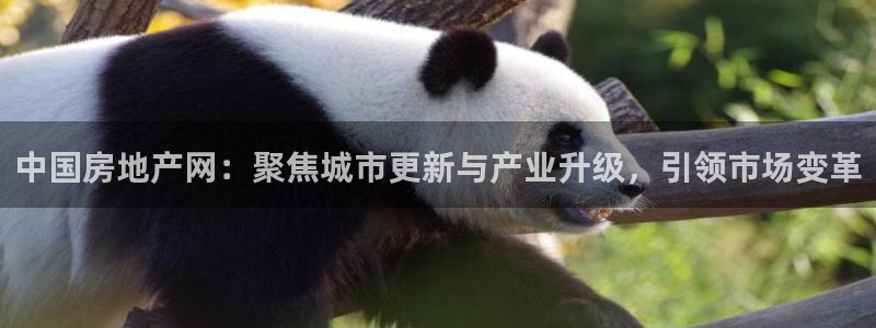 天狮娱乐扣扣29229：中国房地产网：聚焦城市更新与产业升级