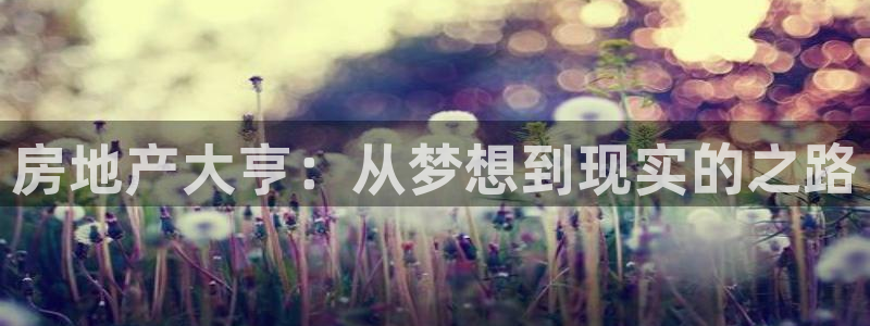 天狮娱乐分分彩：房地产大亨：从梦想到现实的之路