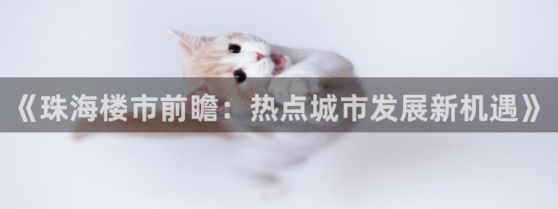 天狮娱乐代理找谁：《珠海楼市前瞻：热点城市发展新机遇》