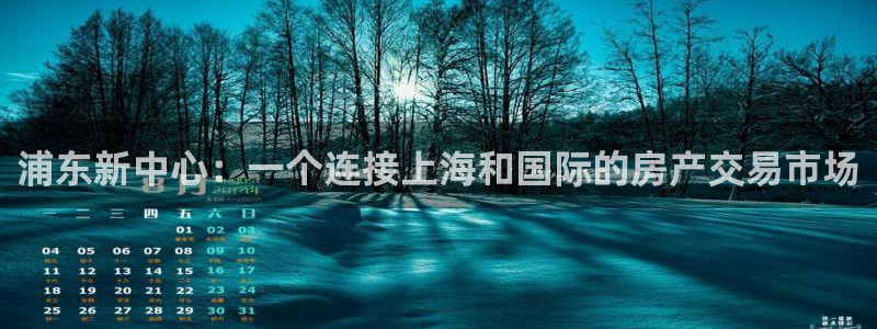 天狮娱乐彩票合法吗：浦东新中心：一个连接上海和国际的房产交易