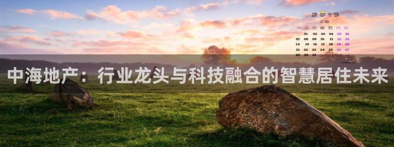 天狮娱乐平台是赌博吗：中海地产：行业龙头与科技融合的智慧居住