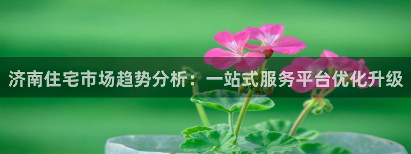 天狮娱乐平台代理：济南住宅市场趋势分析：一站式服务平台优化升