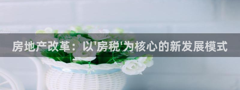 天狮天狮娱乐下载：房地产改革：以\'房税\'为核心的新发展模