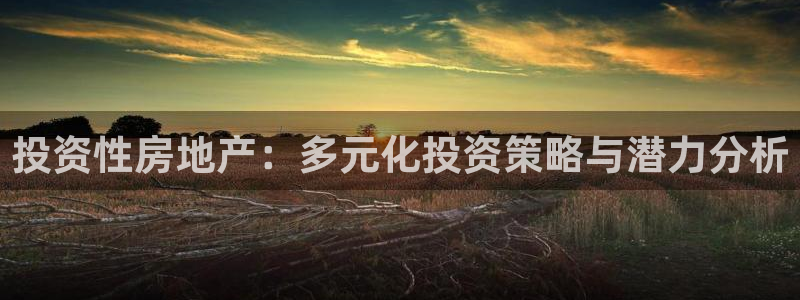 狮山天街休闲娱乐：投资性房地产：多元化投资策略与潜力分析