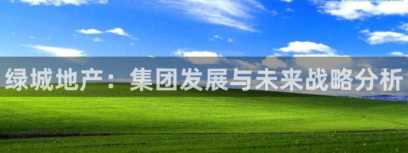 天狮娱乐手机app：绿城地产：集团发展与未来战略分析