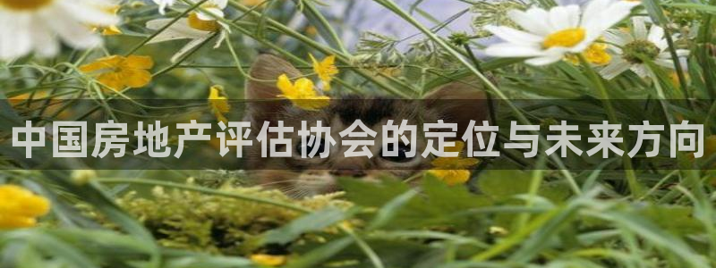 天狮娱乐去：中国房地产评估协会的定位与未来方向