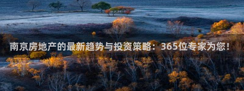 天狮娱乐主管57757：南京房地产的最新趋势与投资策略：36