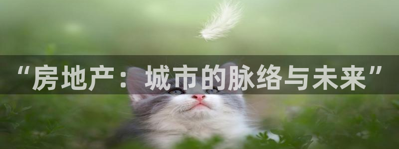 天狮娱乐真的吗