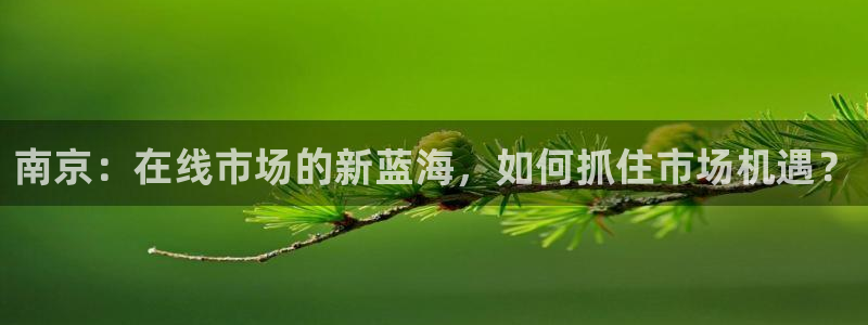 狮山天街娱乐圈：南京：在线市场的新蓝海，如何抓住市场机遇？