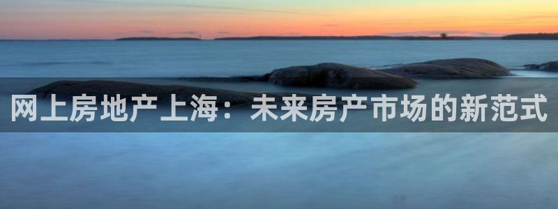 天狮娱乐会所怎么样：网上房地产上海：未来房产市场的新范式