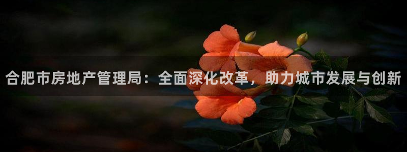天狮娱乐招代理：合肥市房地产管理局：全面深化改革，助力城市发