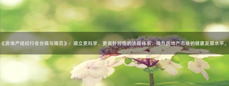天狮娱乐嘉扣 o：《房地产经纪行业合规与规范》：建立更科学、