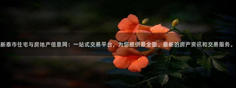 天狮娱乐谁在玩：新泰市住宅与房地产信息网：一站式交易平台，为